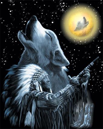 indien est loup